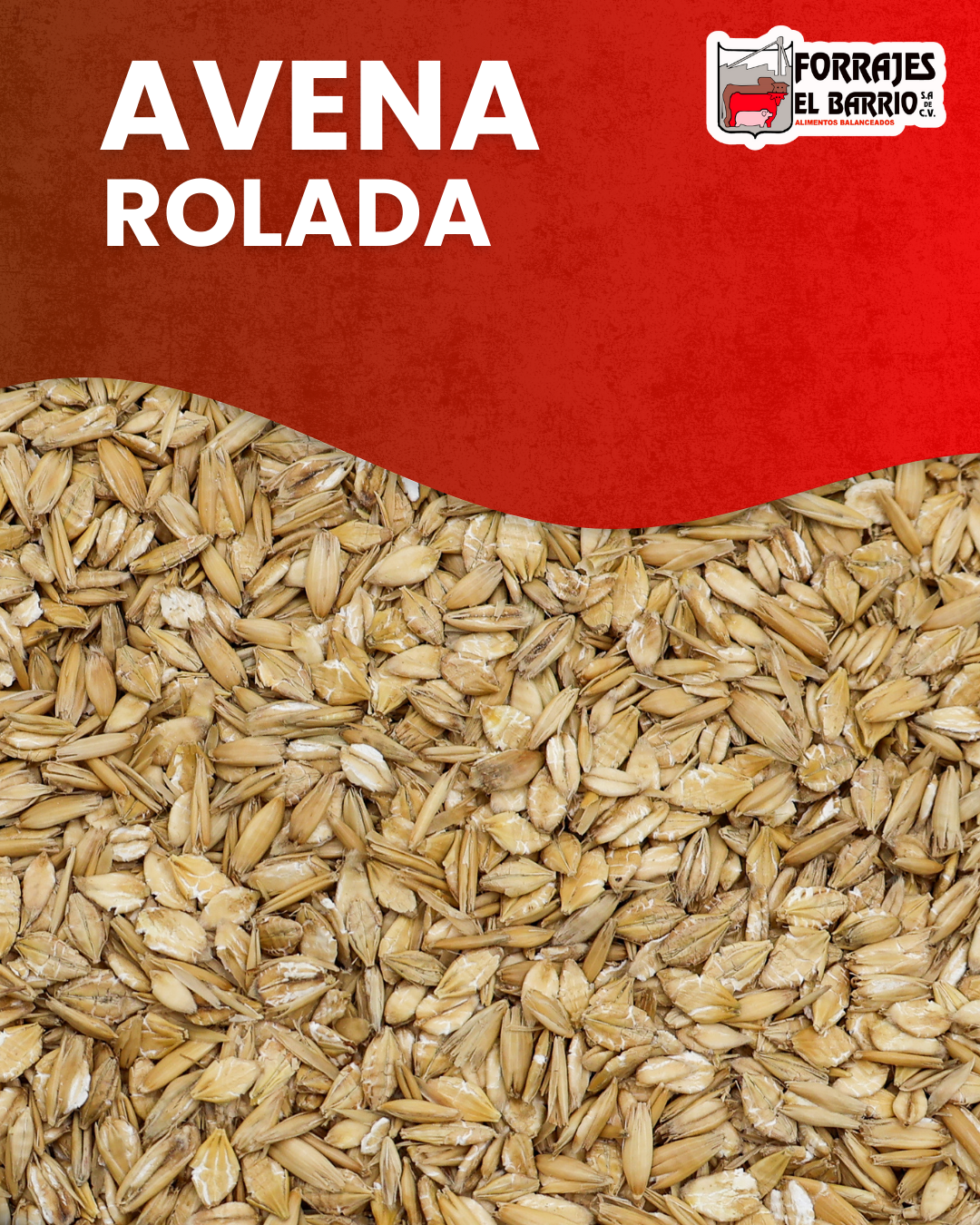 AVENA ROLADA