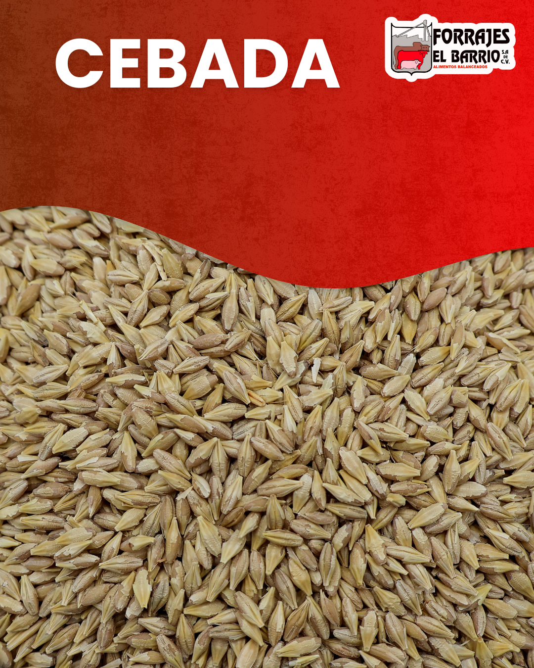 CEBADA