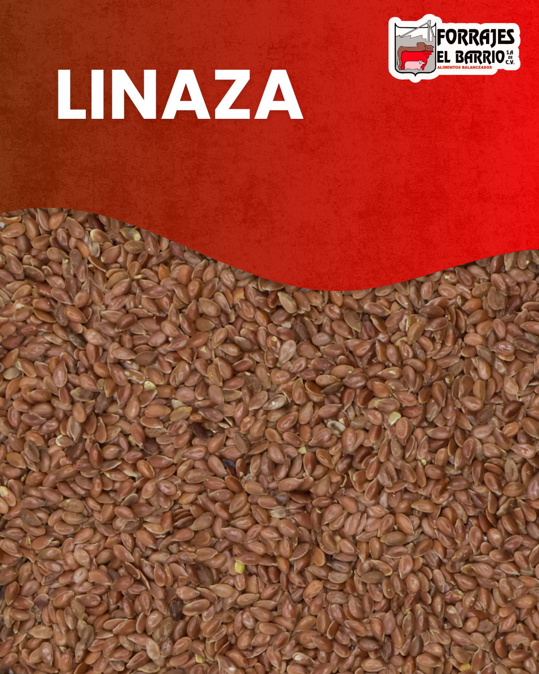 LINAZA