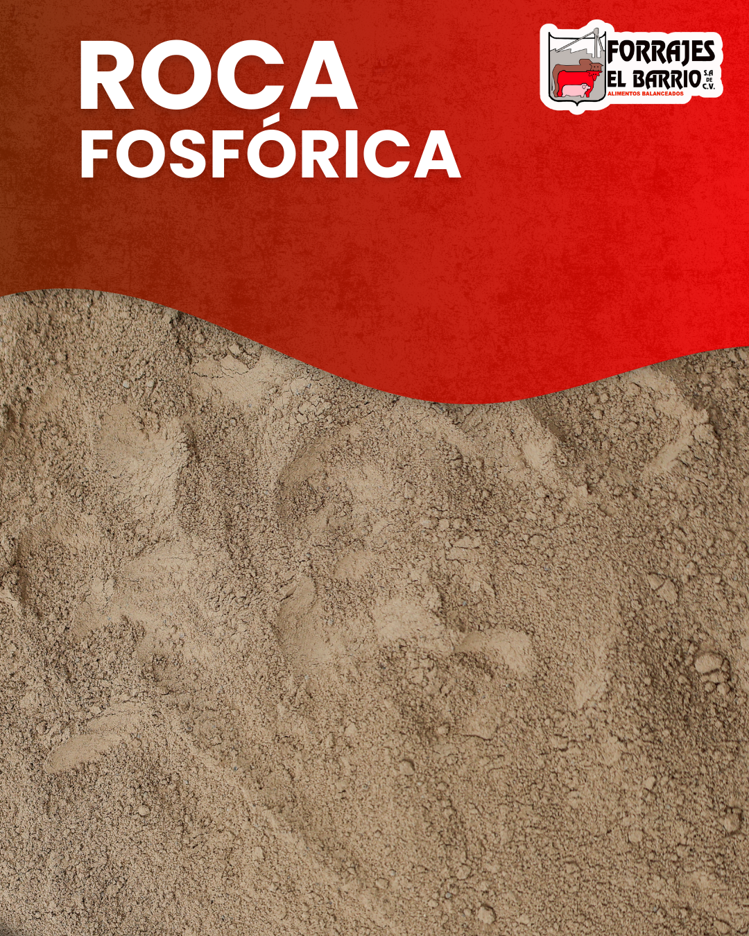 ROCA FOSFORICA